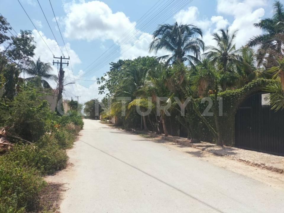 chapultepec , Cancún/Benito Juárez, Quintana Roo 77560, México