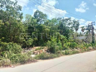 chapultepec , Cancún/Benito Juárez, Quintana Roo 77560, México