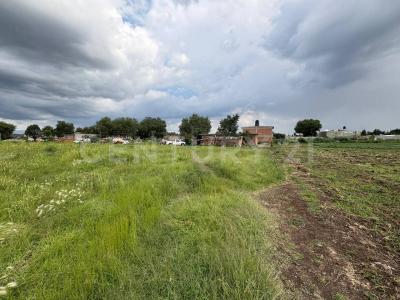 RIO GRANDE S/N, Acolman, Estado De México 55870, Mexico