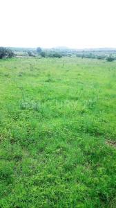 prolongacion francisco villa sn, Coroneo, Guanajuato 38596, Mexico