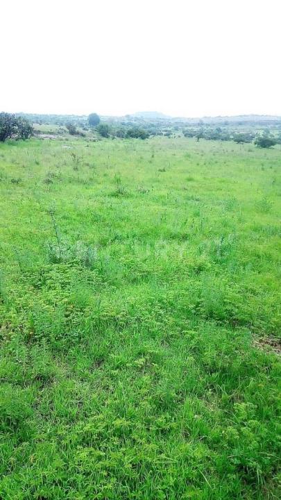 prolongacion francisco villa sn, Coroneo, Guanajuato 38596, Mexico