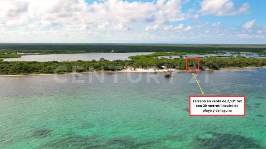 carretera xcalak - Mahahual lote 2880, Othon P Blanco, Quintana Roo 77940, México