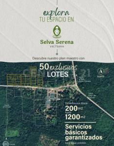 Av. Victoria Loc. Guadalupe, Victoria s/n, Lázaro Cárdenas, Quintana Roo 77370, México