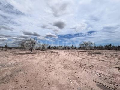 Primera sin numero S/N, La Paz, 바하 캘리포니아 수르 23201, 멕시코