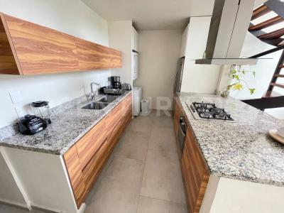 CALETA YALKU 16, Solidaridad / Riviera Maya, Quintana Roo 77733, Mexico