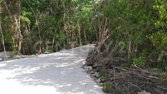 Francisco Uh May S/N, Felipe Carrillo Puerto, Quintana Roo 77240, Messico