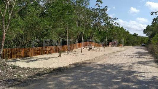 Francisco Uh May S/N, Felipe Carrillo Puerto, Quintana Roo 77240, Messico