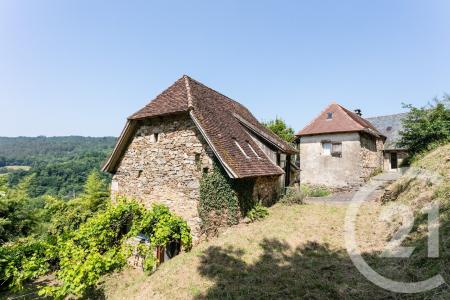Bassignac Le Bas, Limousin 19430, France