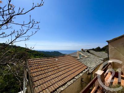 Centuri, Corse 20238, Frankreich