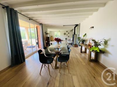 Damiatte, Midi-Pyrénées 81220, France