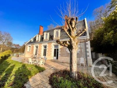 Luynes, Centre 37230, France