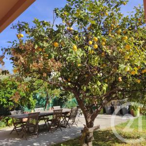 Nice, Provence-Alpes-Côte D'Azur 06200, France