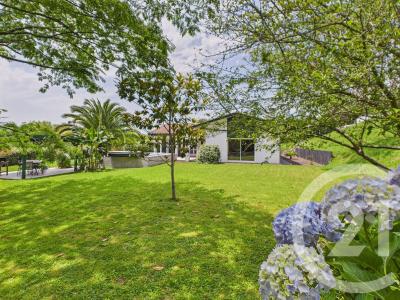 Halsou, Aquitaine 64480, France