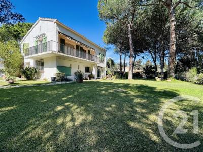 Perpignan, ラングドック=ルション 66000, アキタン