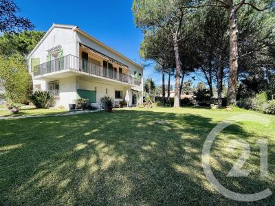 Perpignan, Languedoc-Roussillon 66000, France