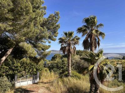 Bouzigues, Languedoc-Roussillon 34140, France