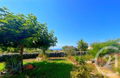 Monticello, Corse 20220, فرنسا