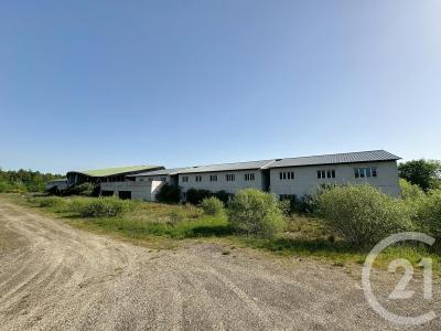 Vouzon, Centro 41600, Francia