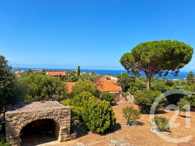 Monticello, Corse 20220, فرنسا