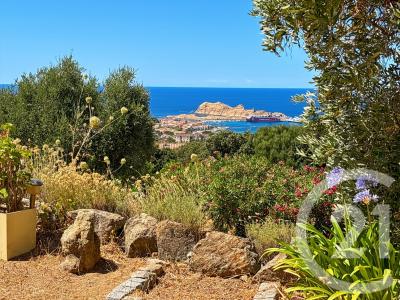 Monticello, Corse 20220, فرنسا