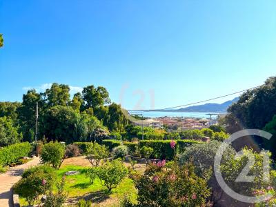 Calvi, Corse 20260, فرنسا