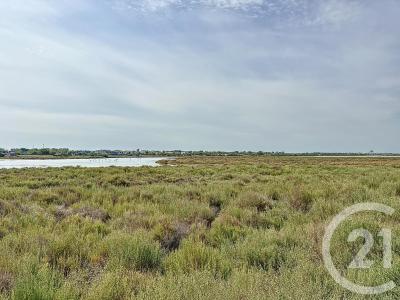 Palavas Les Flots, Linguadoca-Rossiglione 34250, Francia