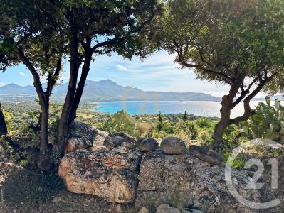 Lumio, Corse 20260, アキタン