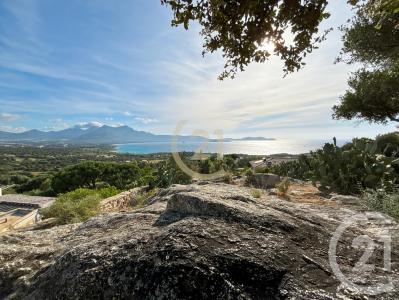 Lumio, Corse 20260, アキタン