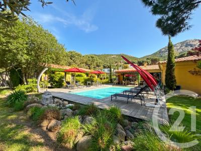 Calvi, Corse 20260, فرنسا