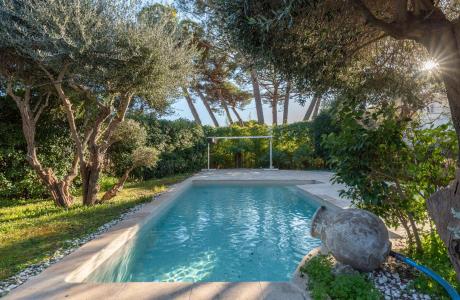 Cannes, Provence-Alpes-Côte D'Azur 06400, France