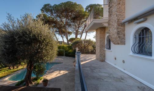 Cannes, Provence-Alpes-Côte D'Azur 06400, France