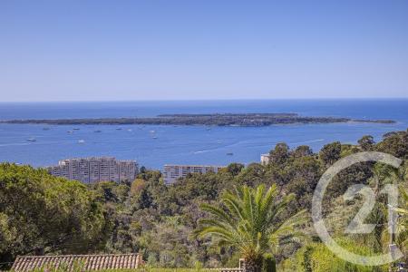 Vallauris, Provence-Alpes-Côte d'Azur 06220, France