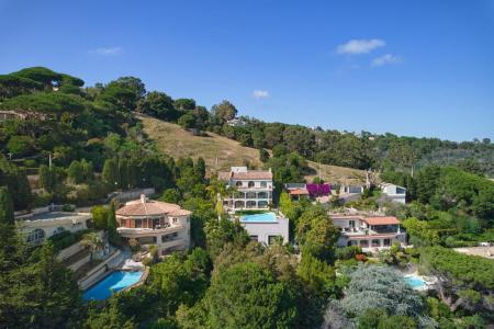 Cannes, Provence-Alpes-Côte D'Azur 06400, France