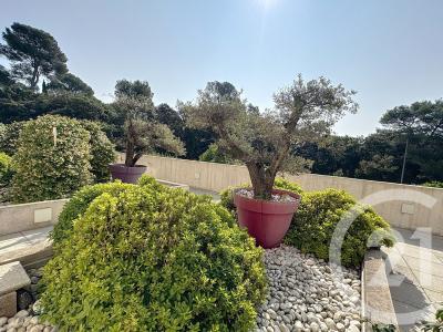 Juvignac, Languedoc-Roussillon 34990, Pháp