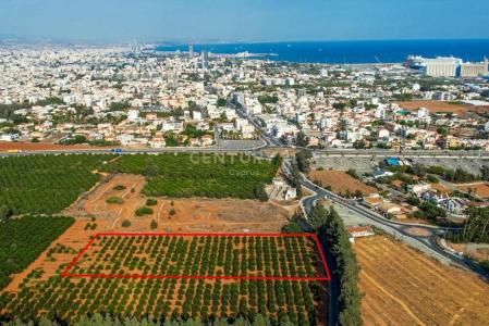 Kato Polemidia, Cyprus