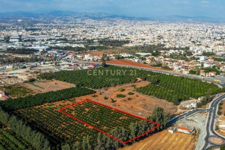 Kato Polemidia, Chipre