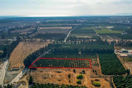 Kato Polemidia, Chipre