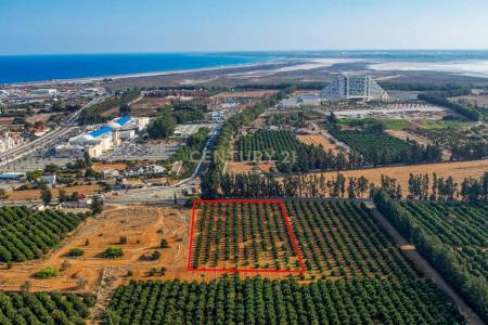 Kato Polemidia, Chipre