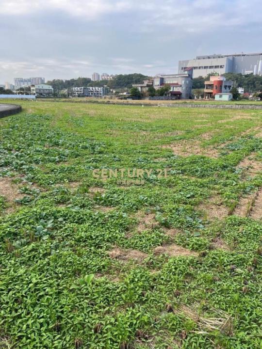 信義段, 頭份市, Miaoli County 351, Taiwan