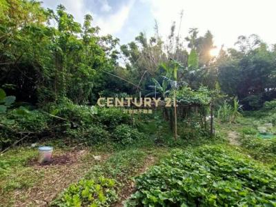 新興段, 八德區, Taoyuan 334, Taiwan