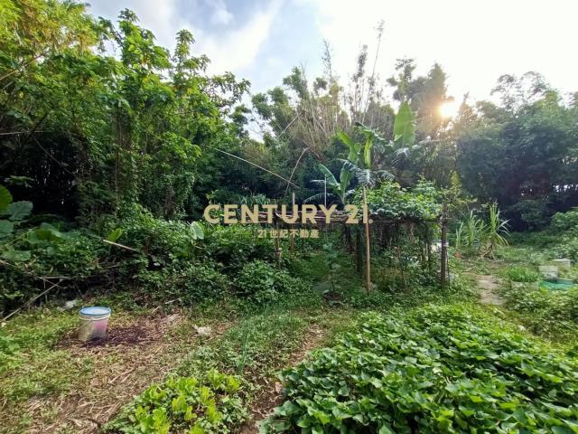 新興段, 八德區, تاويوان مدينة 334, تايوان