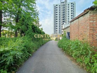 新興段, 八德區, تاويوان مدينة 334, تايوان