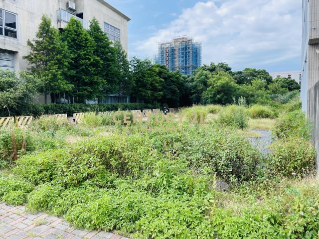 客運二段, 大園區, Taoyuan 337, Tajwan