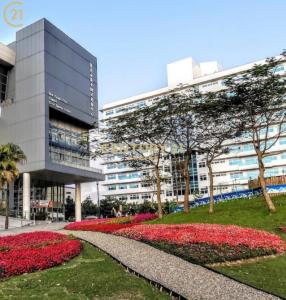 公司田段, Tamsui Dist., New Taipei City 251, Taiwan