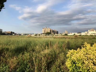 新庄子, 蘆竹區, 桃园 338, 台湾