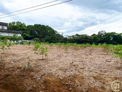 福源段, 龍潭區, Taoyuan 325, Taïwan