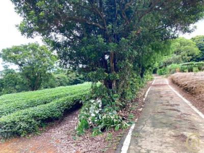 福源段, 龍潭區, Taoyuan 325, Taïwan