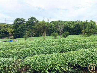 福源段, 龍潭區, Taoyuan 325, Taïwan