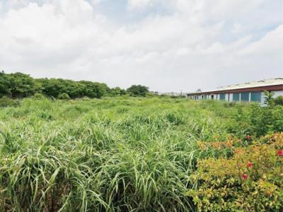 和平段, 楊梅區, Taoyuan 326, Taïwan