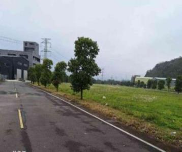 石園路, 大溪區, Taoyuan 335, Tajwan